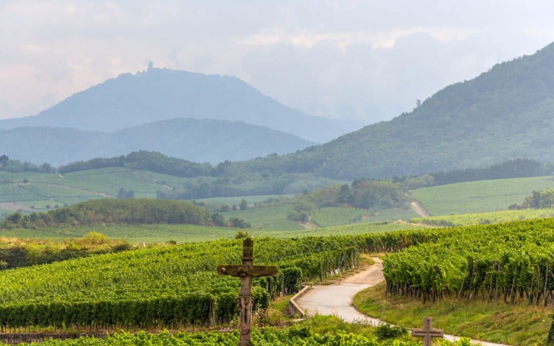 Découvrez la Route des Vins d&rsquo;Alsace : itinéraire et villages incontournables